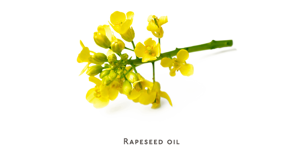 Conditioner - fragrance free - Nuebar