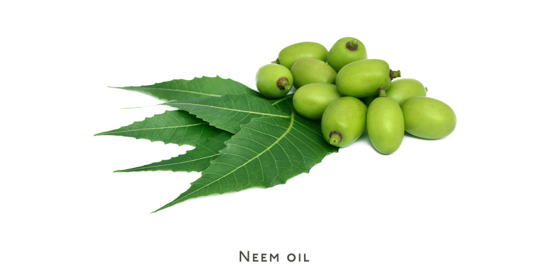 Face wash - acne prone or oily skin - Nuebar