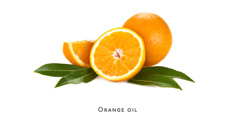 Shampoo - curly or dry hair - Nuebar